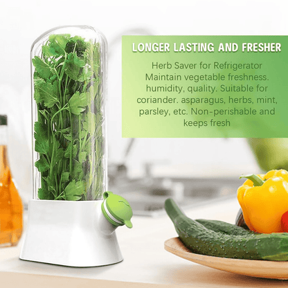 Airtight Transparent Herb Storage Box with Water Reservoir